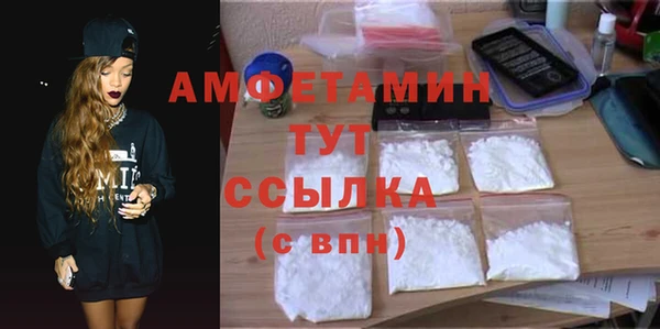 индика Заволжье