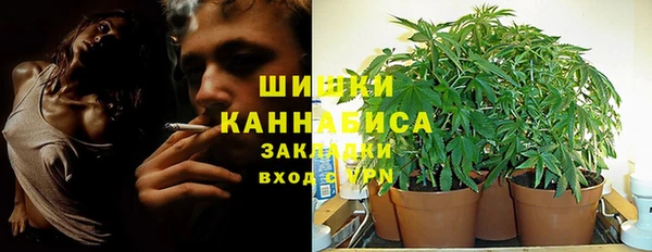 индика Заволжье