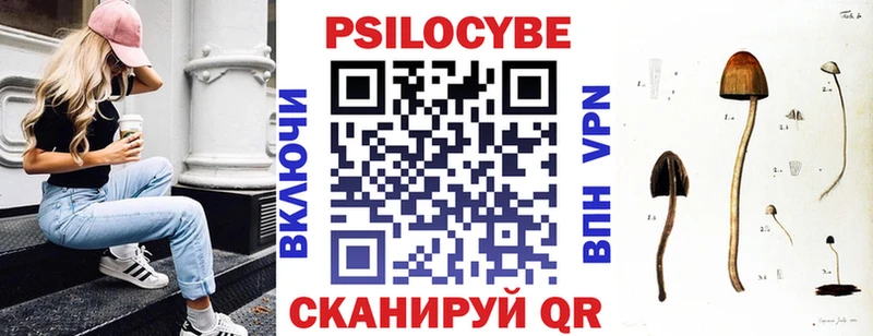 Купить где  Ирбит  Галлюциногенные грибы мицелий 
